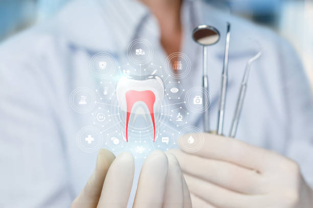 Trusted Gallipolis, OH  Holistic Dental Services Experts